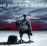 «Дом.ru»и Amediateka приглашают в «Мир Дикого Запада» - Lentachel.Ru