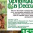 Встреча в клубе собаководов «Ирландцы в России» - Управление культуры