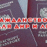 Фото из открытых источников - Lentachel.Ru