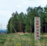 Более 50 га заросло возле села Шемаха - Россельхознадзор