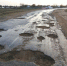 Из-за ремонта дороги челябинцы устроили проезд через посёлок - Chelyabinsk Today