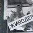 Магнитогорцы расклеили по городу снимок с живодером - Chelyabinsk Today