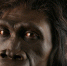 Homo erectus, реконструкция - Lentachel.Ru