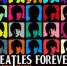 Третья ежегодная Кавер-пати «Beatles Forever» пройдет в библиотеке им. Пушкина - Управление культуры