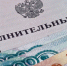 Долги россиян по алиментам достигли рекорда - U74.Ru