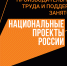 АНО «Национальные приоритеты» - Правительство Челябинской области