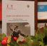 Подведены итоги конкурса «Война: нарушения всех прав» - Избирательная комиссия