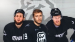 «Трактор» собрал чемпионскую команду? Сколько получают его игроки - http://www.hctraktor.ru/