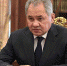 Шойгу доложил Путину о результатах миссии миротворцев ОДКБ в Казахстане - ChelIndustry.Ru