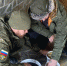 Ветераны Росгвардии и школьники подготовили семенной материал для будущего кедрового питомника в Челябинской области - Росгвардия