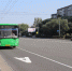 В Челябинске не утихают споры по поводу нужности выделенных полос - Урал-пресс-информ
