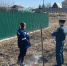 В Сосновском районе нарушителей противопожарного режима привлекли к административной ответственности - ГУ МЧС Челябинской области