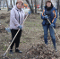 Сотрудники муниципальных организаций Тракторозаводского района вышли на субботник - Тракторозаводский район