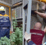 В Магнитогорске мужчина выпал из окна и повис вниз головой на газовой трубе - Агентство новостей Доступ