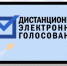 Более 600 избирателей на Южном Урале проголосуют на сентябрьских выборах дистанционно - Агентство новостей Доступ