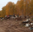 В Каслинском районе ликвидируют 9 несанкционированных свалок - Единая Россия