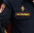Южноуральцы за год добровольно сдали оружие на 1,3 миллиона рублей - Pchela.News