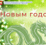 С Новым годом! - Управление по труду и занятости населения