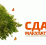 Сдай макулатуру – спаси дерево! - Министерство экологии
