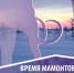 Челябинск приветствует мамонтёнка Любу! - Исторический музей