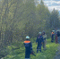 Под Усть-Катавом водитель иномарки погиб, вылетев в кювет - Южноуральская панорама
