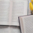 Убийство на островах и отдых на даче: «Пчела» подготовила подборку книг для летнего настроения - Pchela.News