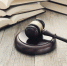Сведения о постановлениях по делам об административных правонарушениях - Госжилинспекция