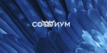 ПЕРВЫЙ (ОТБОРОЧНЫЙ) ТУР РЕГИОНАЛЬНОГО ЭТАПА ВСЕРОССИЙСКОЙ ОЛИМПИАДЫ «СОФИУМ»