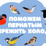 В Челябинской области стартует традиционная акция «Синичка» - Министерство экологии
