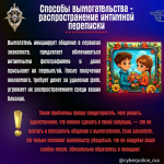 Как не стать жертвой вымогательства в интернете?