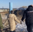 В Челябинской области задержана местная жительница, подозреваемая в совершении убийства знакомой - Следственный комитет