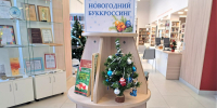 Новогодний буккроссинг - ЦБС г. Челябинска