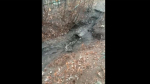 Челябинские власти оперативно решили многолетнюю проблему поселка