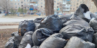 В ЦКС рассказали, как будут вывозить мусор, собранный на субботниках во дворах - Pchela.News