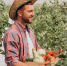 farmer-greenhouse-holding-box-vegetables.jpg - Центр Мой бизнес