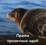 Стартовал прием заявок на конкурс экологических и природоохранных проектов  Президентского фонда природы  - Министерство экологии