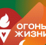Всероссийская эстафета «Огонь жизни» пройдет в Челябинске - Полит74
