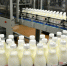 Делегация Республики Беларусь ознакомилась с производством молочной продукции в Челябинске - Министерство сельского хозяйства