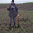 В Челябинской области появились две новые карантинные фитосанитарные зоны - Южноуральская панорама
