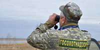 С начала года почти 4 млн рублей возместили государству нарушители правил охоты на территории Челябинской области - Министерство экологии