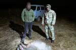 Браконьеры Южного Урала заплатили 4 миллиона: как нарушители возмещают ущерб природе