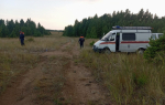В Челябинской области третий день ищут пропавшую в лесу пенсионерку