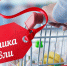 Поздравление главы города Челябинска Алексея Лошкина с Днём работника торговли - Администрация г. Челябинск