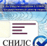Росреестр пояснил челябинцам, зачем вносить СНИЛС в ЕГРН - ChelIndustry.Ru