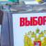 Южноуральцы могут проголосовать на выборах дистанционно - Полит74