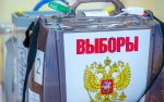 Южноуральцы могут проголосовать на выборах дистанционно