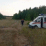 Недели поисков завершились трагедией: на Южном Урале пропавшая в лесу пенсионерка найдена мертвой - КП Челябинск