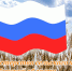 Южноуральцы объединятся под флагом России - Министерство сельского хозяйства