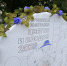 Праздник урожая - Челябинская городская дума