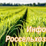 Апробация семенных посевов - Министерство сельского хозяйства
